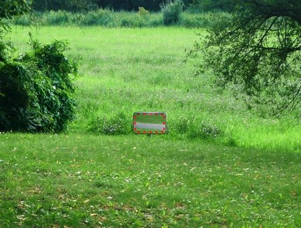 Verkehrsspiegel im Grünen