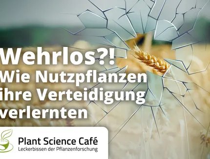 Wehrlos?!_Flyer