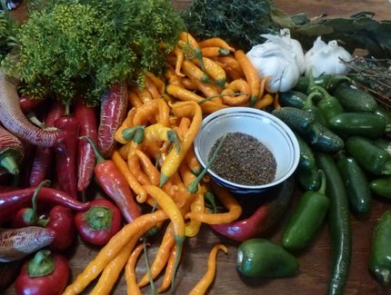 Essen - Gemüse, Vegan Kochen