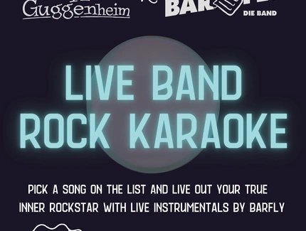 VISUAL BarFly Rock-Karaoke