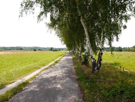 Berliner Nordosten, heutiger Mauerweg