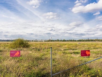 Tempelhofer Feld