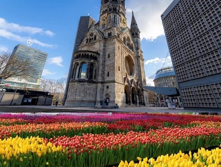 TulipDay Berlin