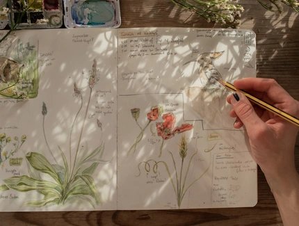 Nature Journaling Workshop