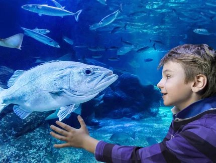 AquaDom et SEA LIFE - Attraction à Berlin