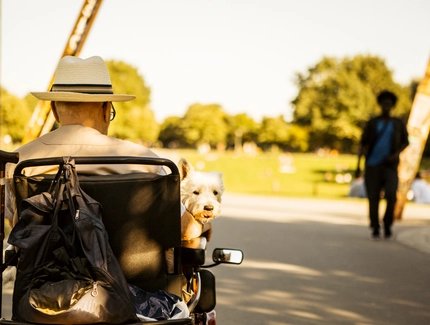 Parks & Gardens ACCESSIBLE - a men is sitting in a wheelchair with his dog