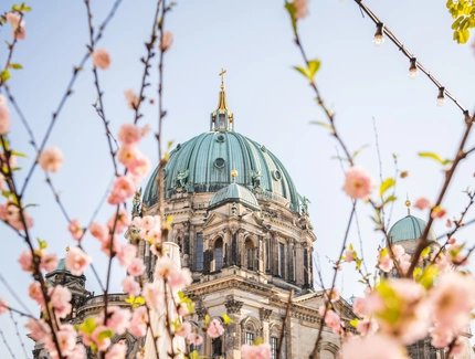 Berliner Dom im Frühling
