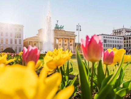 Blütenpracht am Brandenburger Tor, Berlin