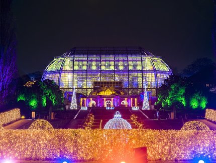 Christmas Garden 2021