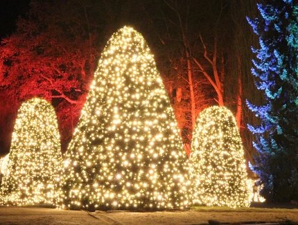 Christmas Garden Berlin