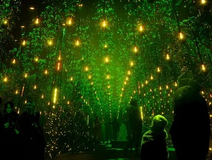 Winterlights