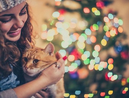 Frau mit Katze vorm Weihnachtsbaum