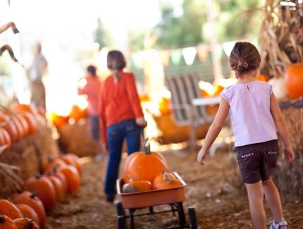 Children with pumpkins
