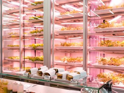 Restaurante GOOD BANK con granja cubierta en Berlín