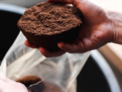 Coffee grounds for making the Kaffeeform cup