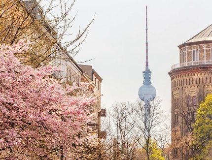 View of the TV Tower from Kollwitzplatz in springtime
