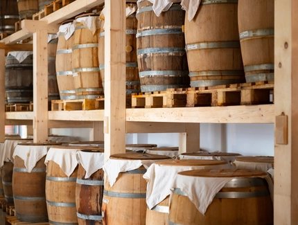Die Produkte von Mimi Ferments während der Fermentierung im Holzfass