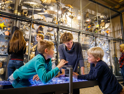 La familia en el Museo de Naturkunde de Berlín - una atracción para los niños