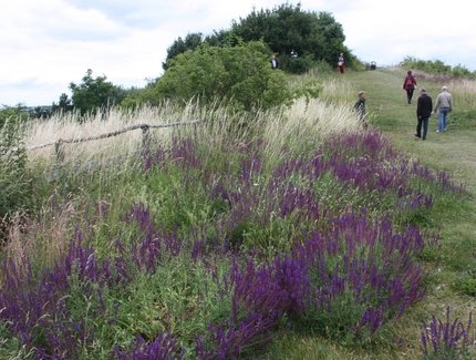 Naturschutzstation Marienfelde