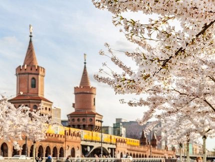 Frühling