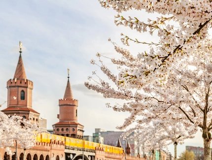 Oberbaumbrücke im Frühling