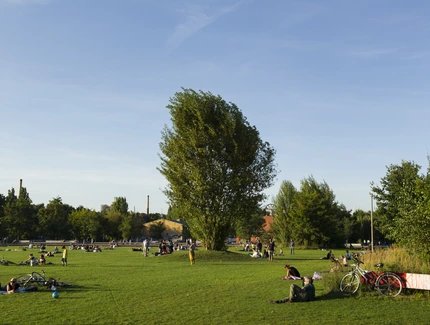 summer in park at Gleisdreieck