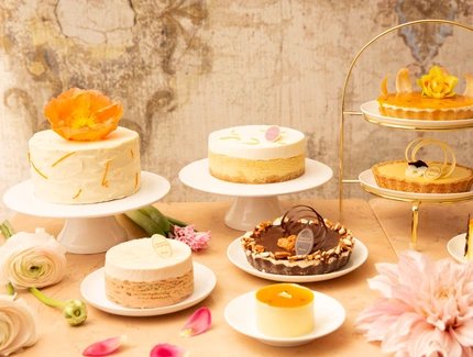 Princess Cheesecake