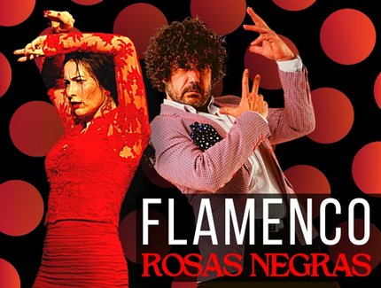 Flamenco in der Philharmonie Berlin