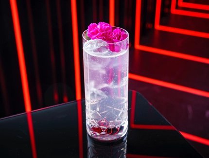Bar_Hotel Palace