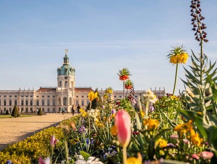 Der Park vom Schloss Charlottenburg im Frühling. Im Hintergrund sieht man Schloss Charlottenburg, im Vordergrund blühen Tulpen und andere Blumen