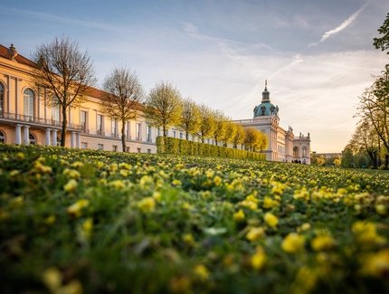 Frühling