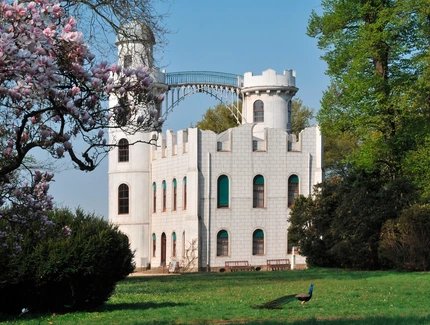 Blühende Tulpenmagnolien am Schloss Pfaueninsel in Berlin