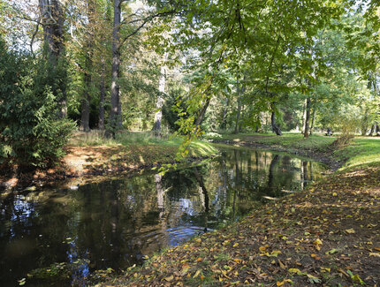 Schlosspark Pankow
