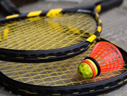 Shuttlecock on speedminton racket