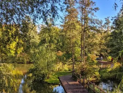 Steg auf der Schlossinsel in Lübben im Spreewald