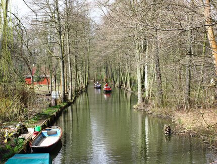 Kanal im Spreewald 