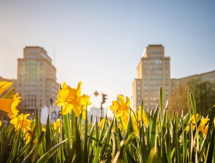 Frühling