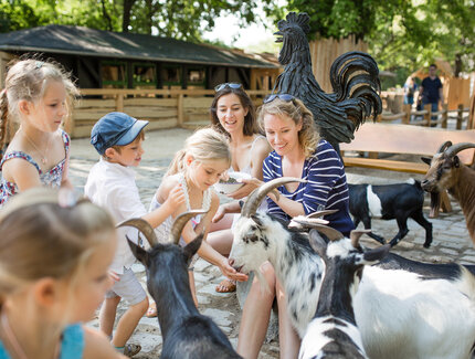 Streichelzoo im Zoo Berlin mit Kindern