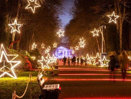 Lumières d'étoiles à Noël dans le parc animalier (Weihnachten im Tierpark), Friedrichsfelde
