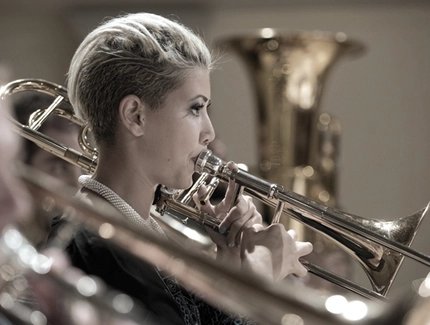 Musician in the orchestra