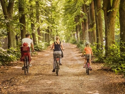 Familie auf Fahrrädern im Wald 