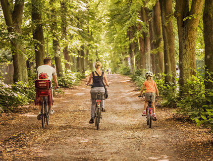 family on bikes in a forest 