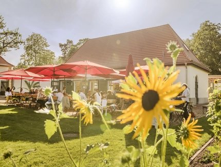 Sommercafe im Landhausgarten Dr. Max Fränkel
