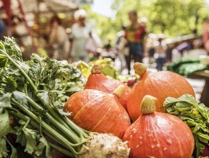 Weekly Organic Market in Berlin
