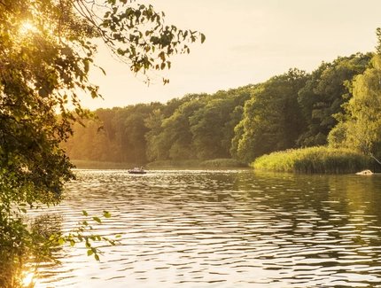 Con la barca a remi sul Schlachtensee a Berlino