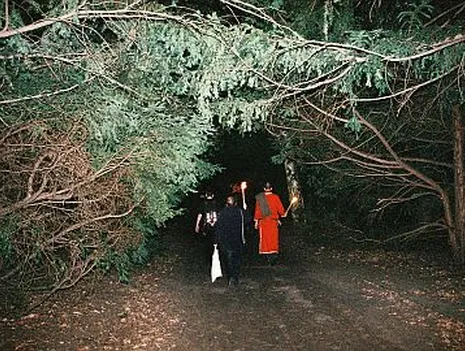 Bärentouren: Celtic Mythologie in the Humboldthain at Night