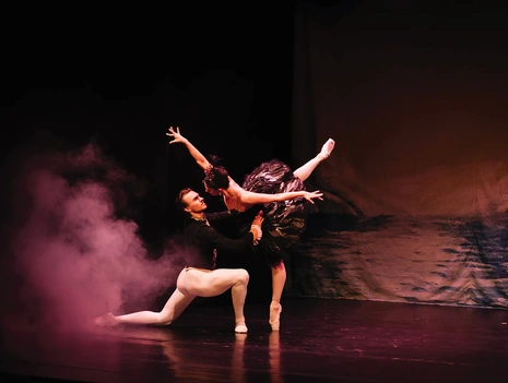 Swan Lake – Beyond the Stage