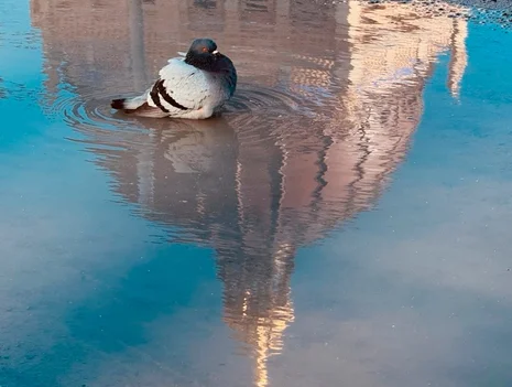 Whatever the Weather. A Water-Side Stroll Along the Spree Island