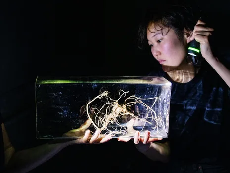 Symposium: Aesthetics of Access in Puppet Theater