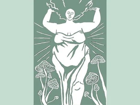 Fat Bodies Anatomy